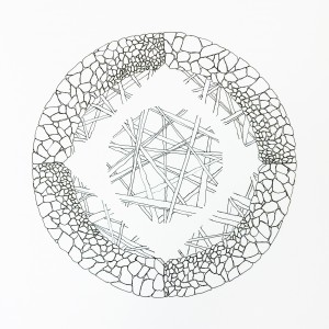 Exploring Balance Series 13